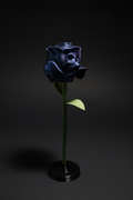 3D Printed Skull Rose